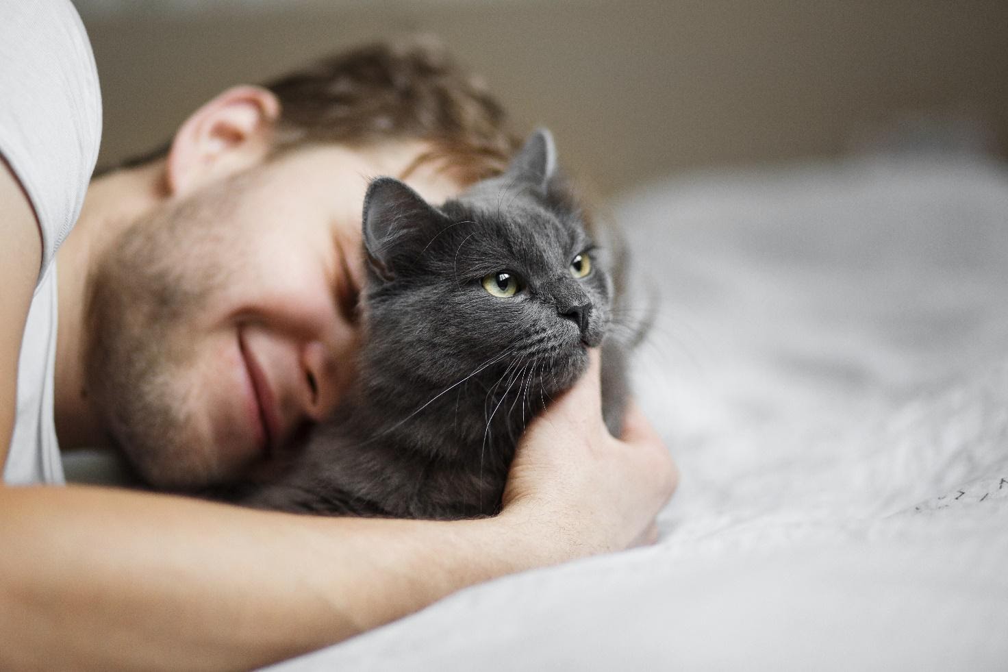 La relazione UomoGatto Quanto siamo felici insieme? La relazione UomoGatto Quanto siamo felici insieme?